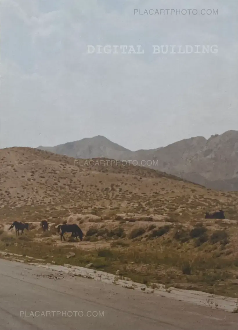 Liu Yuan – Digital Building (numbered)