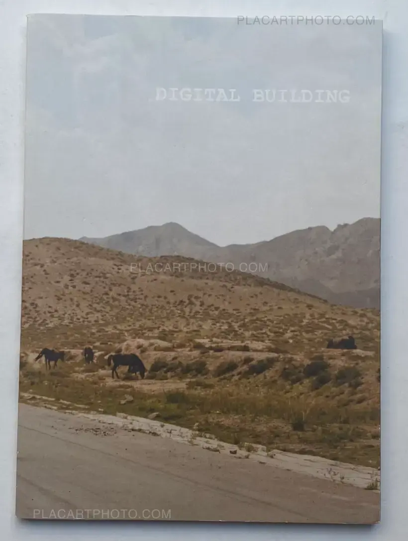Liu Yuan – Digital Building (numbered)