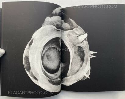 Collective,After & Before: Documenting the A-bomb Collective,After & Before: Documenting the A-bomb