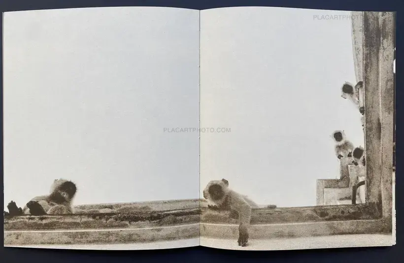 Wataru Igarashi – SPIRAL CODE (edt of 350)