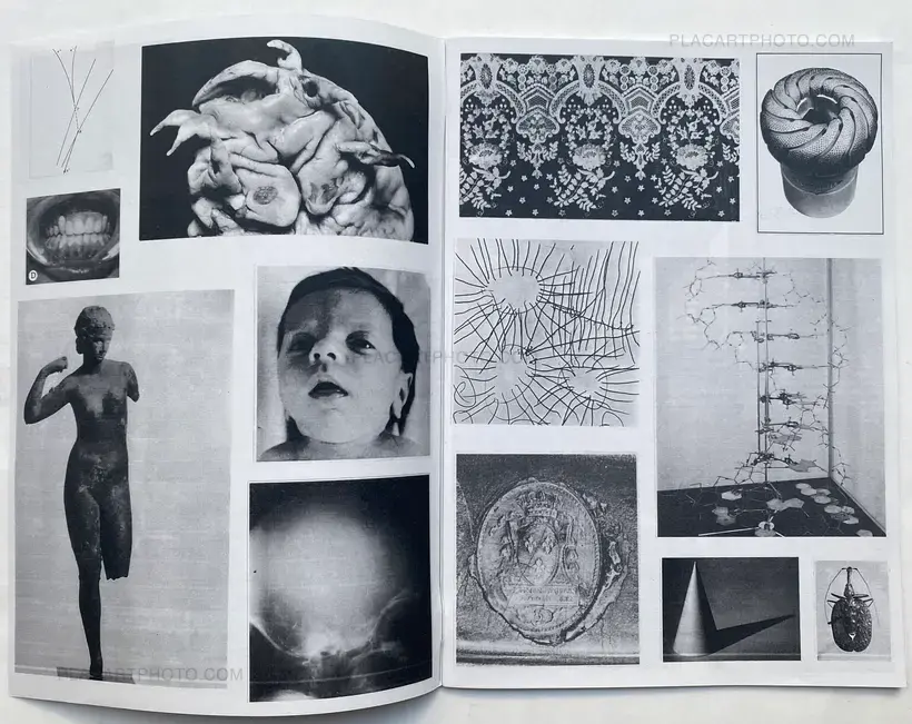 Thibault Tourmente – INVENTAIRE ALPHA (SIGNED AND NUMBERED WITH AN ORIGINAL PLATE)