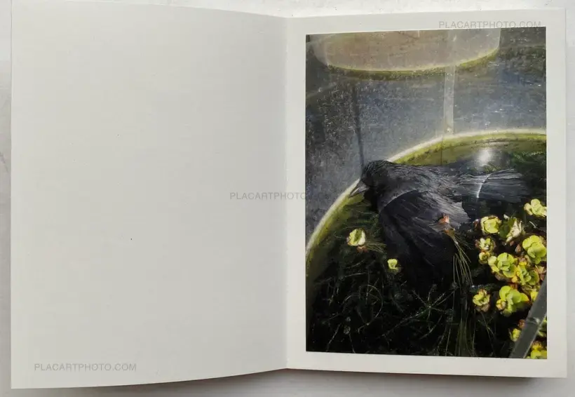Sandrine Marc – NOTES #2 (SIGNED AND NUMBERED, edt of 3)