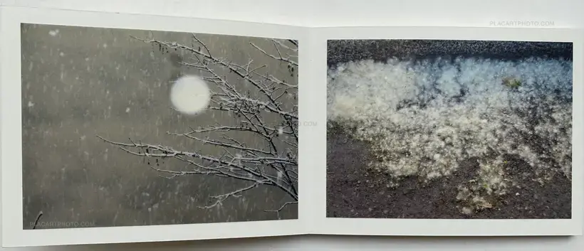 Sandrine Marc – NOTES #1 (SIGNED AND NUMBERED, edt of 3)
