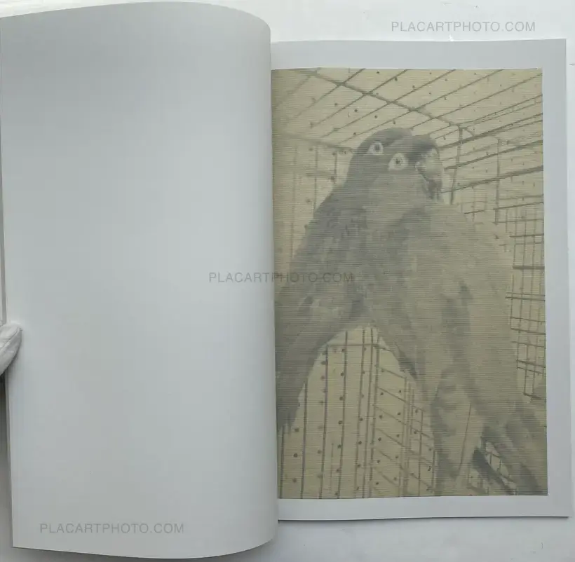Sandrine Marc – Le son de l'encre (UNIQUE, numbered and signed)