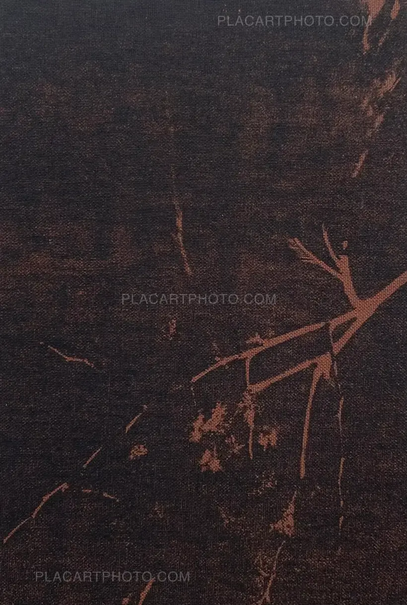 Joanna Epstein – Wasps (edt of 15)