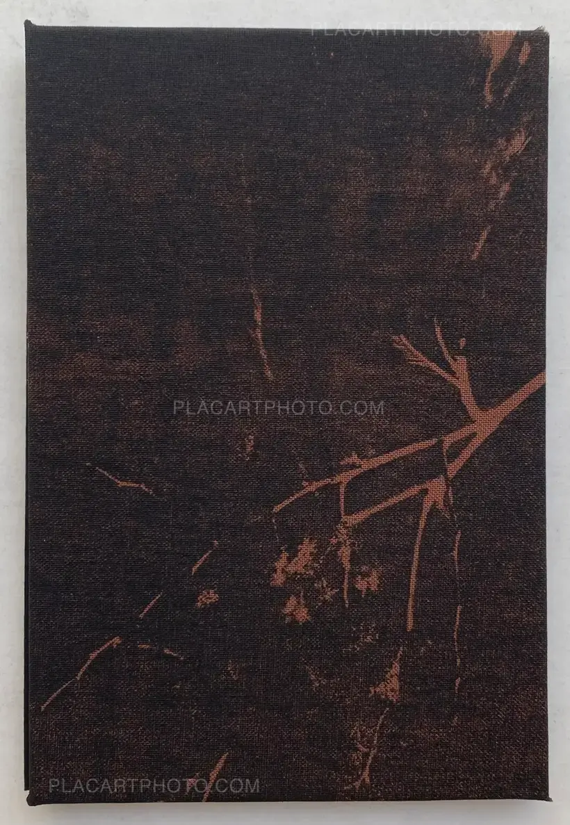 Joanna Epstein – Wasps (edt of 15)