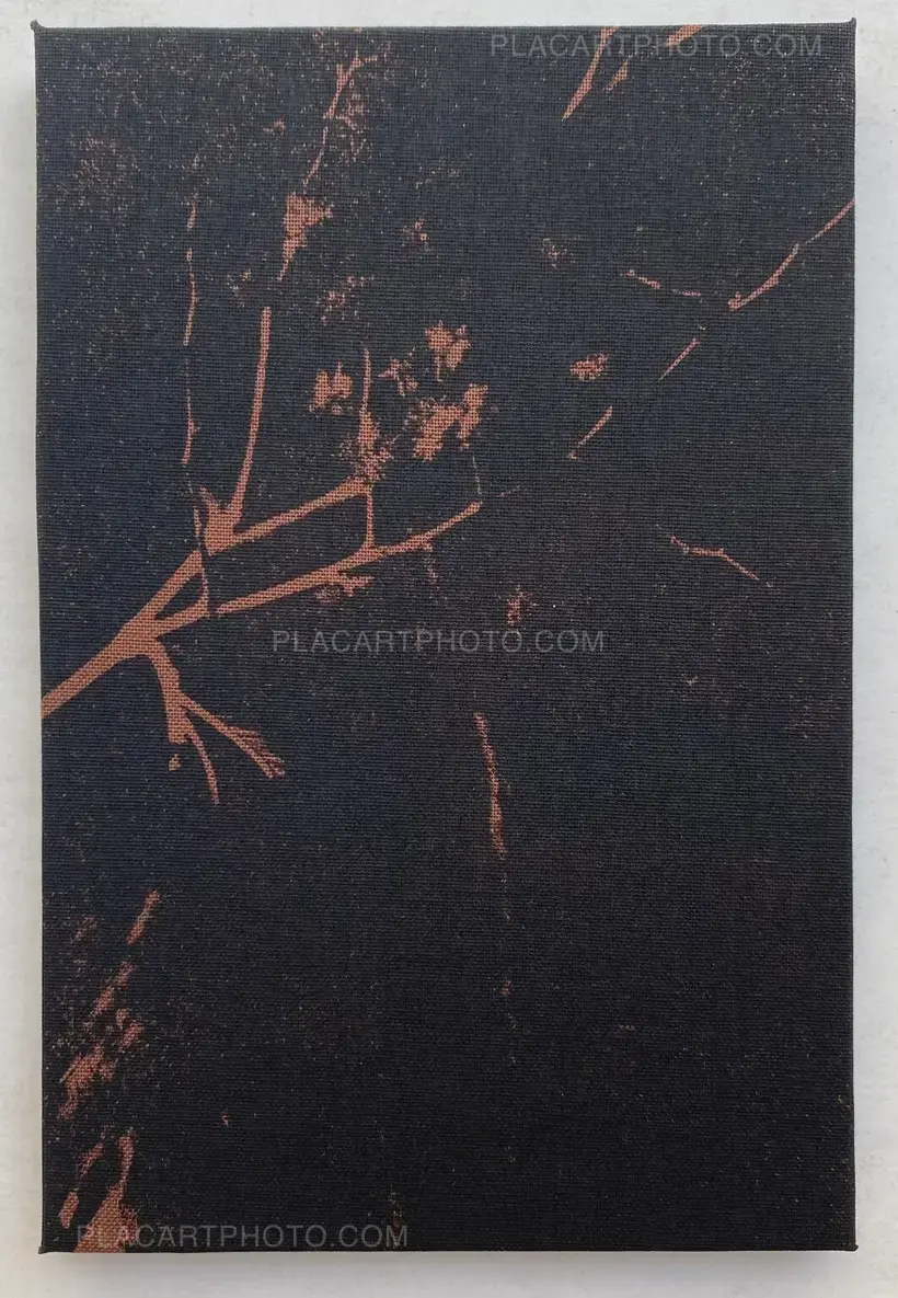 Joanna Epstein – Wasps (edt of 15)