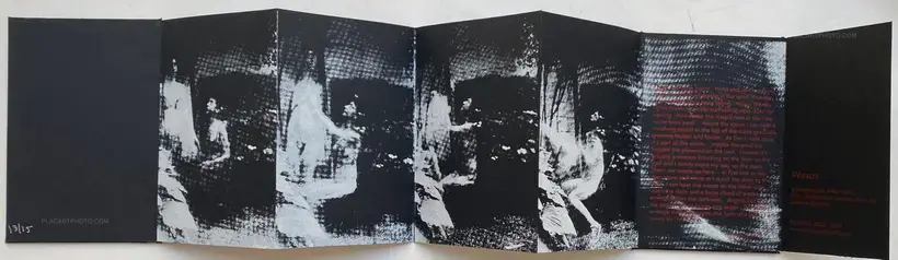 Joanna Epstein – Wasps (edt of 15)