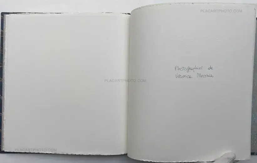 Veronica Mecchia – Wild Flowers (UNIQUE and signed)