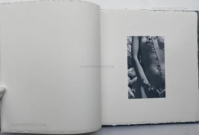 Veronica Mecchia – Wild Flowers (UNIQUE and signed)