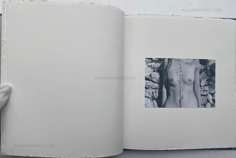 Veronica Mecchia – Wild Flowers (UNIQUE and signed)