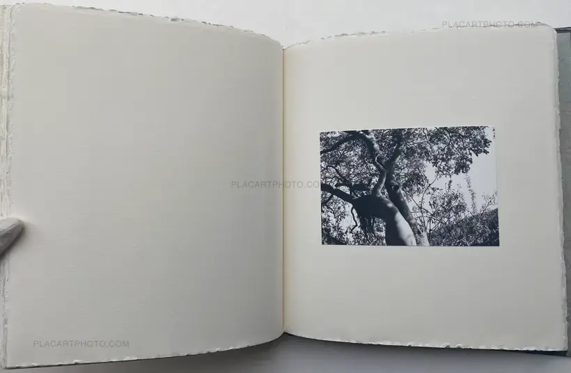 Veronica Mecchia – Wild Flowers (UNIQUE and signed)