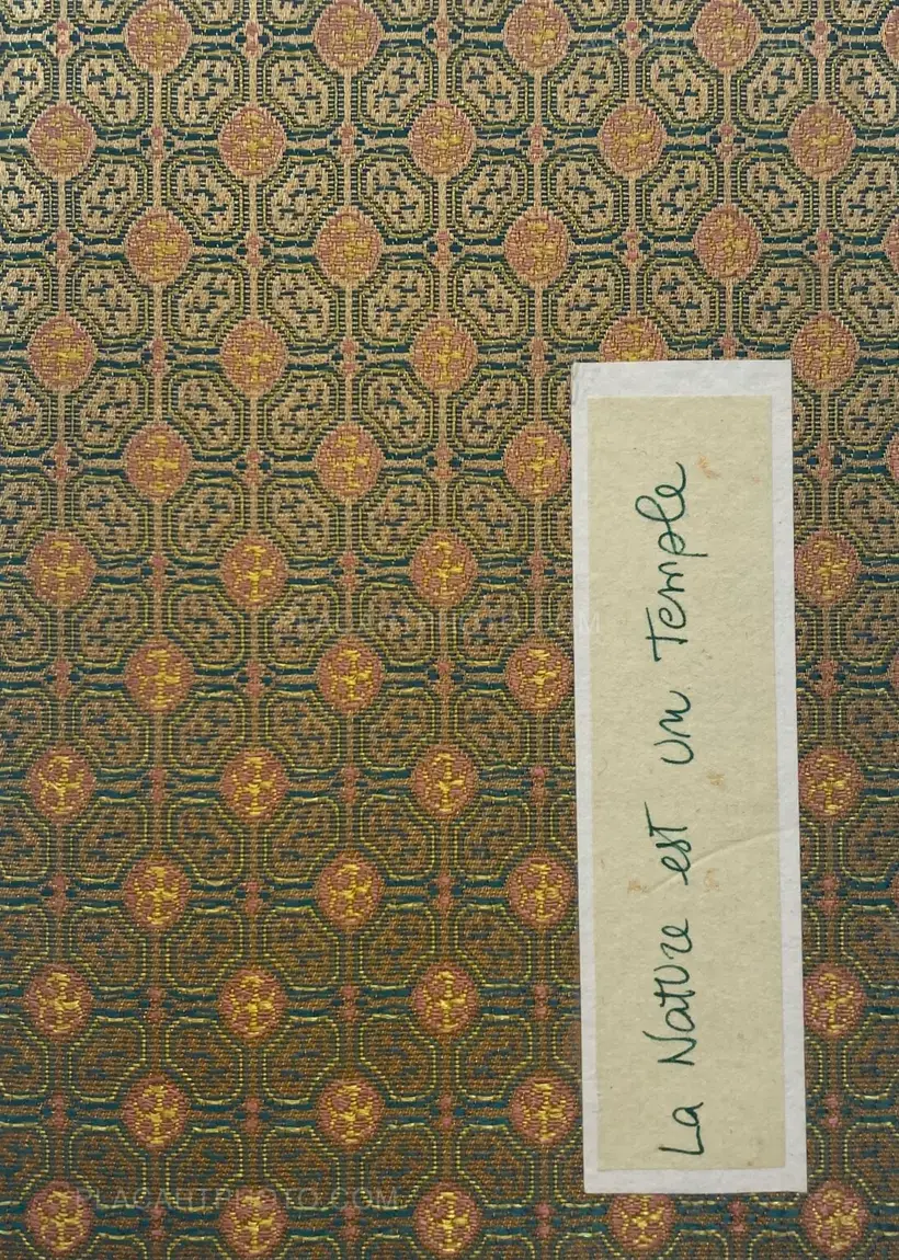 Veronica Mecchia – La Nature est un Temple (SIGNED AND NUMBERED, edt of 100)