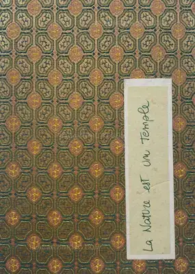 Veronica Mecchia – La Nature est un Temple (SIGNED AND NUMBERED, edt of 100)