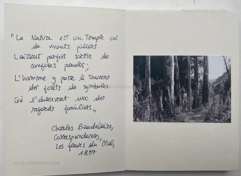 Veronica Mecchia – La Nature est un Temple (SIGNED AND NUMBERED, edt of 100)