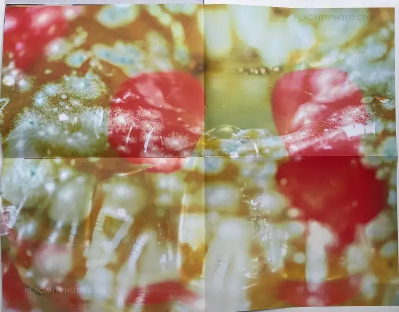 Zuza Kepa – CUMQUAT (SIGNED ONLY 20 COPIES)