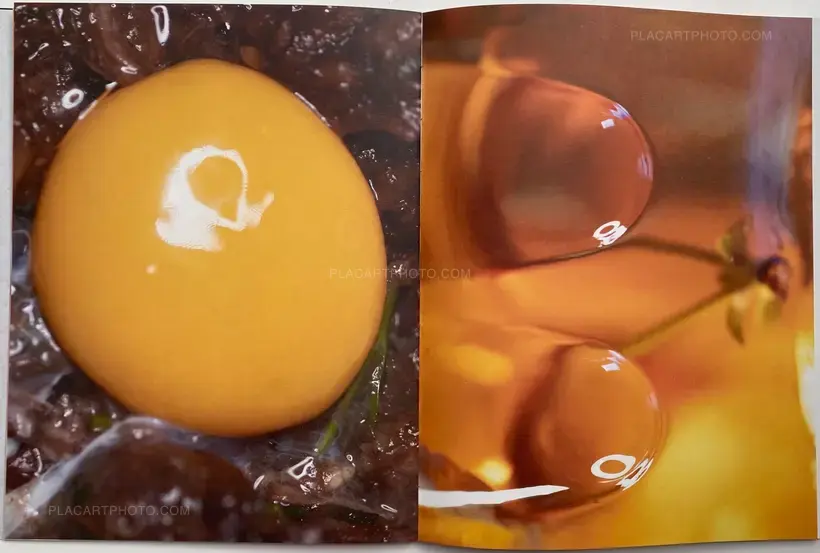 Zuza Kepa – CUMQUAT (SIGNED ONLY 20 COPIES)