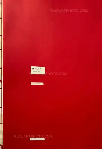 Lorenzo Castore – WALLS (SPECIAL EDITION OF 12 LAST ONE)