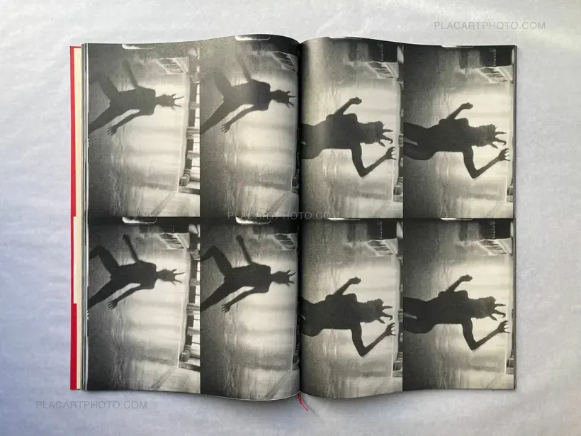 Lorenzo Castore – WALLS (SPECIAL EDITION OF 12 LAST ONE)