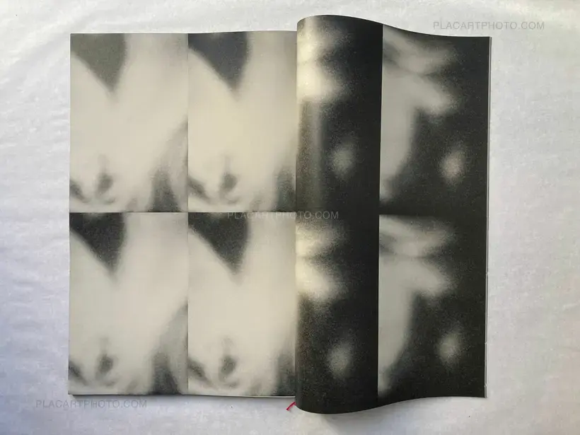 Lorenzo Castore – WALLS (SPECIAL EDITION OF 12 LAST ONE)