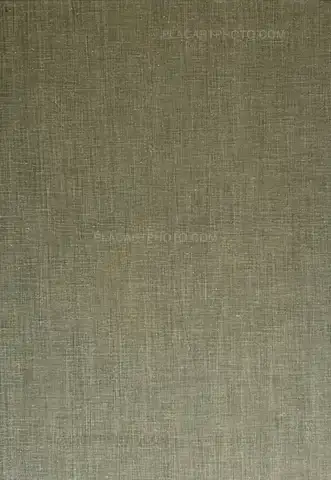 Anne Lefebvre – Sonnet (SIGNED AND NUMBERED, edt of 10)