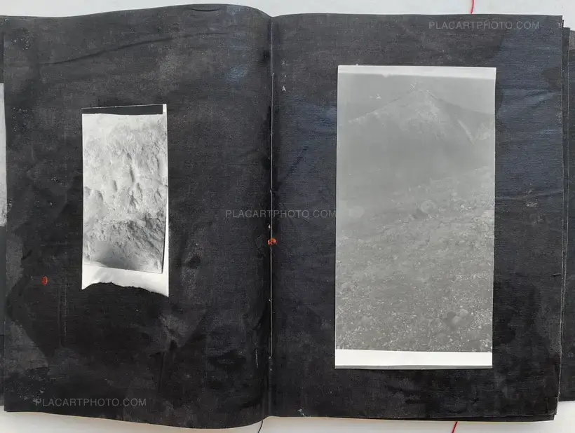 Laura Rodari – MALIA (SIGNED AND NUMBERED, edt of 3)