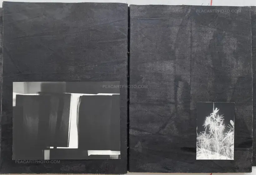 Laura Rodari – MALIA (SIGNED AND NUMBERED, edt of 3)
