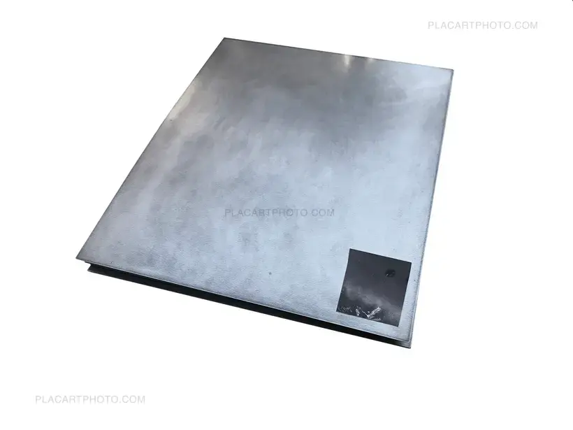 Olivier Pin-Fat – Bones apart (GREY EDITION, ARTIST'S EDITON 2/3)