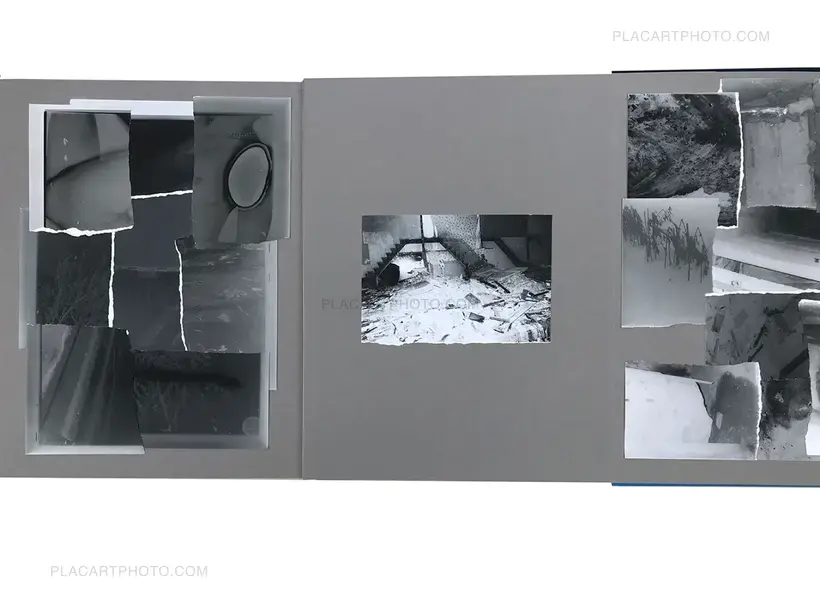 Olivier Pin-Fat – Bones apart (GREY EDITION, ARTIST'S EDITON 2/3)
