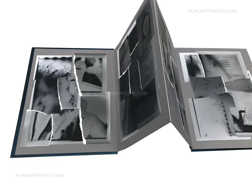 Olivier Pin-Fat – Bones apart (GREY EDITION, ARTIST'S EDITON 2/3)
