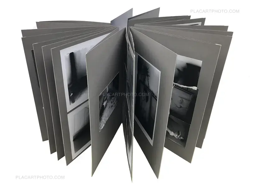 Olivier Pin-Fat – Bones apart (GREY EDITION, ARTIST'S EDITON 2/3)