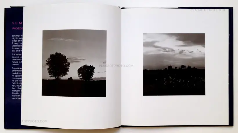 Robert Adams – Summer Nights