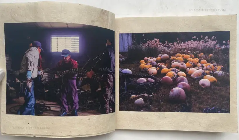 Miki Fukumoto – Rhapsodie WADATSUMI (SIGNED AND NUMBERED, edt of 30)