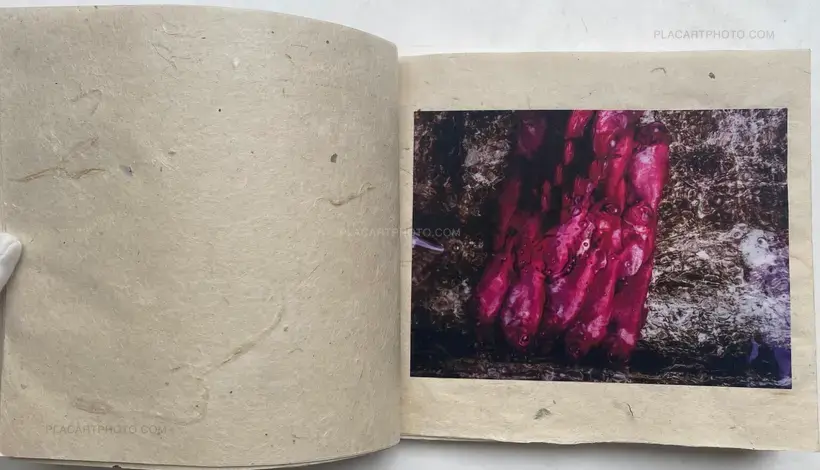 Miki Fukumoto – Rhapsodie WADATSUMI (SIGNED AND NUMBERED, edt of 30)