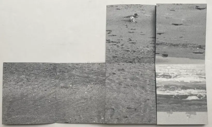 Arina Essipowitsch – FOLD (edt of 500)