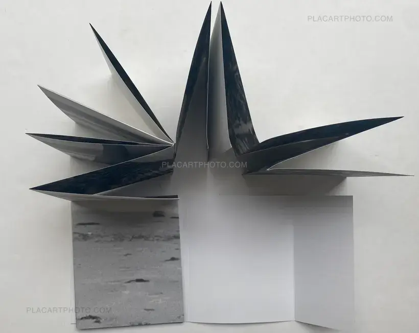Arina Essipowitsch – FOLD (edt of 500)
