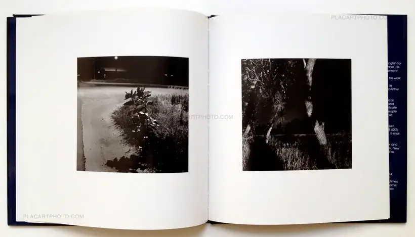 Robert Adams – Summer Nights