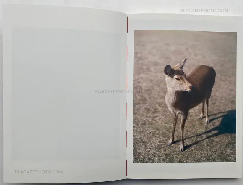 Pierrick Patarin – SUMIMASEN (EDT OF 300)