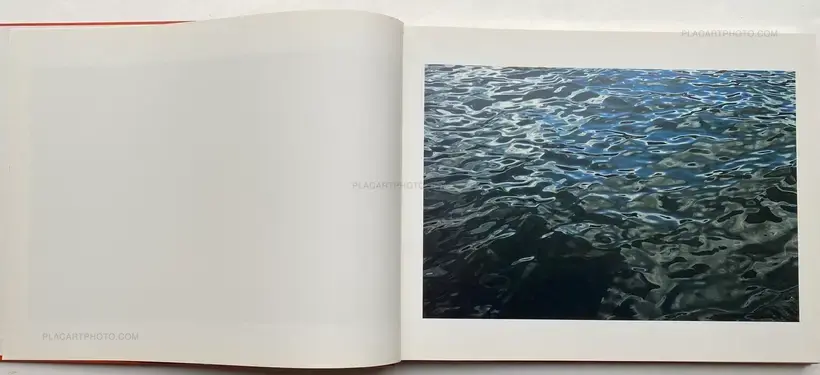 Roni Horn – Dictionary of Water