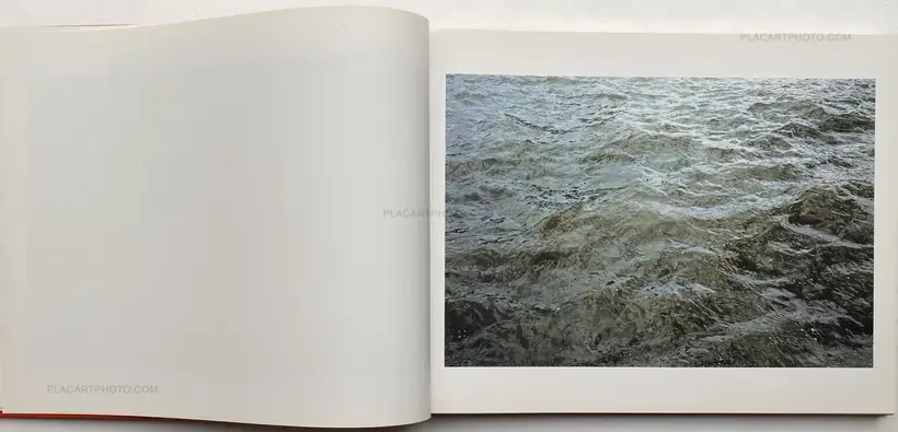 Roni Horn – Dictionary of Water