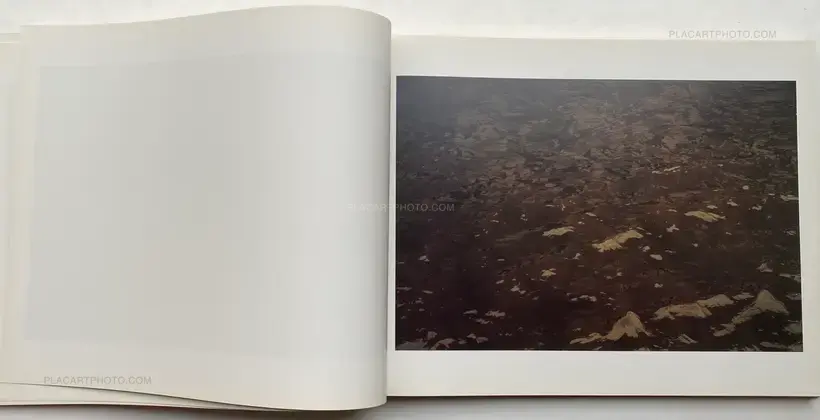 Roni Horn – Dictionary of Water