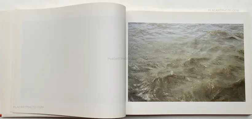 Roni Horn – Dictionary of Water