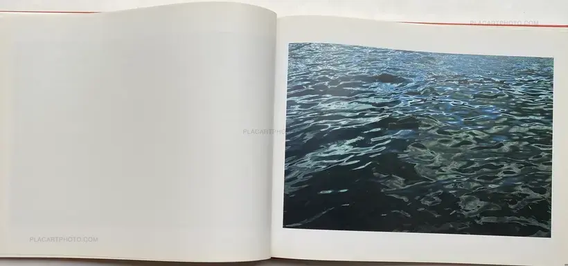 Roni Horn – Dictionary of Water
