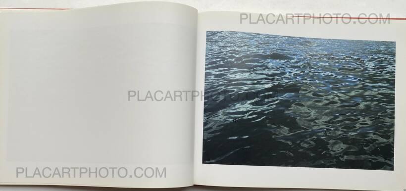 Amazon.com: Roni Horn: Dictionary Of Water: 9783882437539