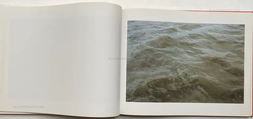 Roni Horn – Dictionary of Water