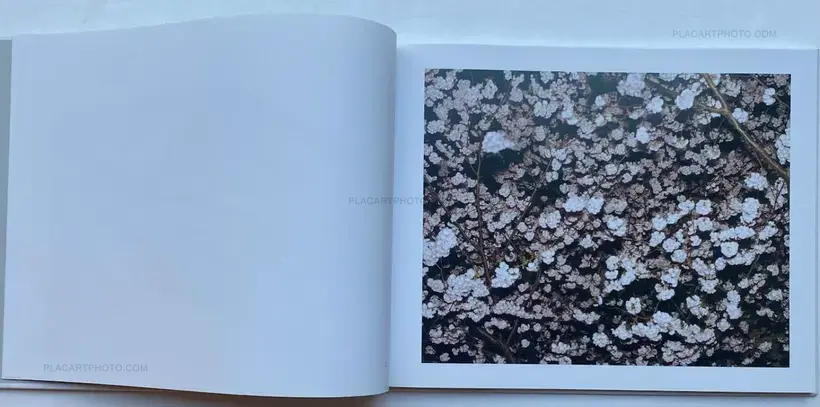 Elias Hassos – Fotografien