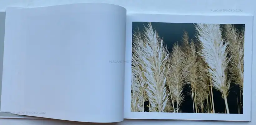 Elias Hassos – Fotografien