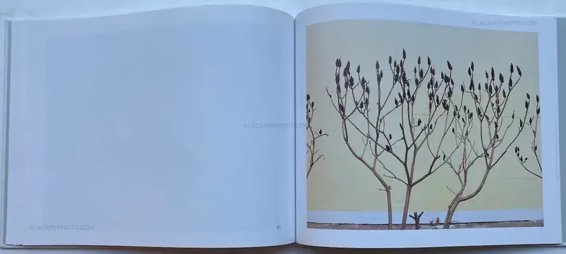 Elias Hassos – Fotografien