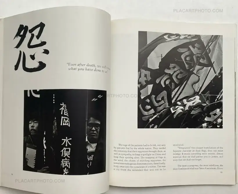 Collective – Minamata