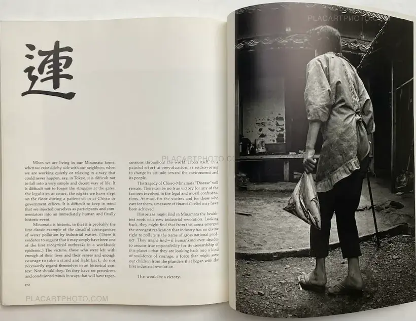 Collective – Minamata